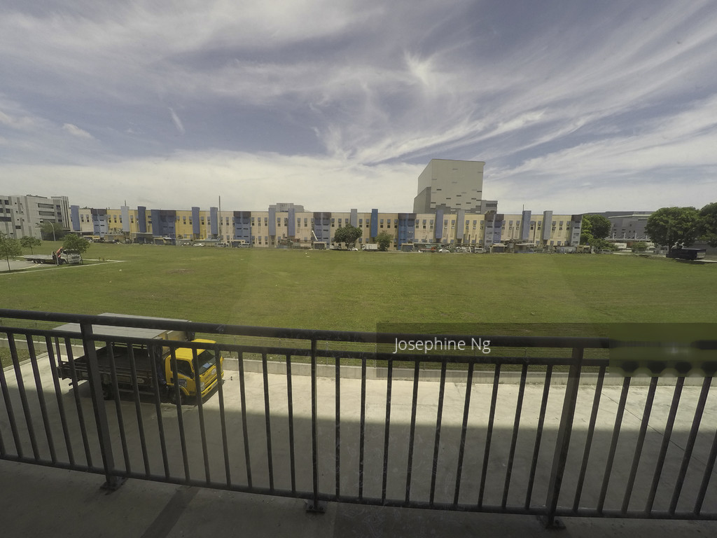 West Star thumbnail photo